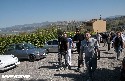 MilleCurve2019