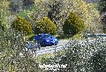 MilleCurve2019
