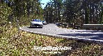 MilleCurve2019
